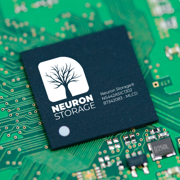NeuronStorage Chipset